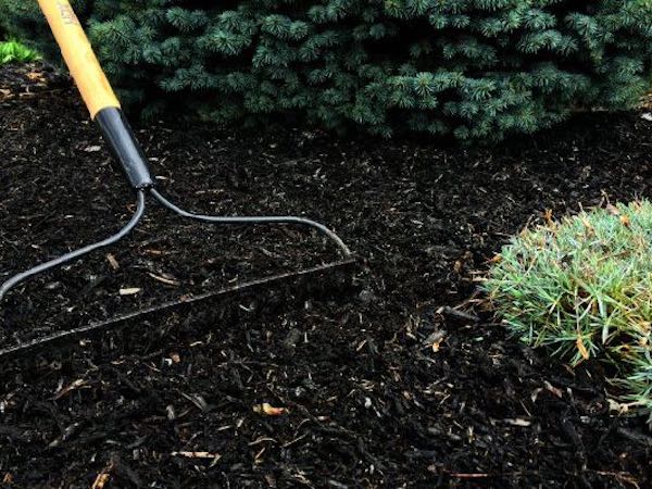 landscaping mulch application dry ridge ky