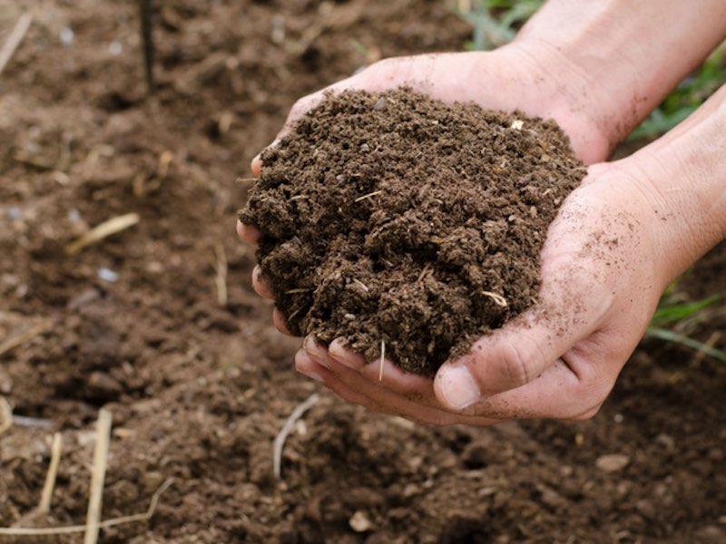 landscaping soil pretreatment dry ridge ky landscaping soil pretreatment dry ridge ky
