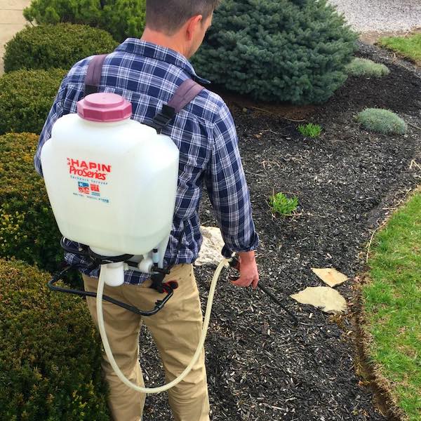 weed control landscaping company dry ridge ky weed control landscaping company dry ridge ky